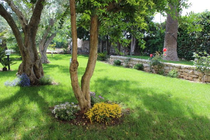 Appartamento Le Tre Palme Frigintini Habitación foto