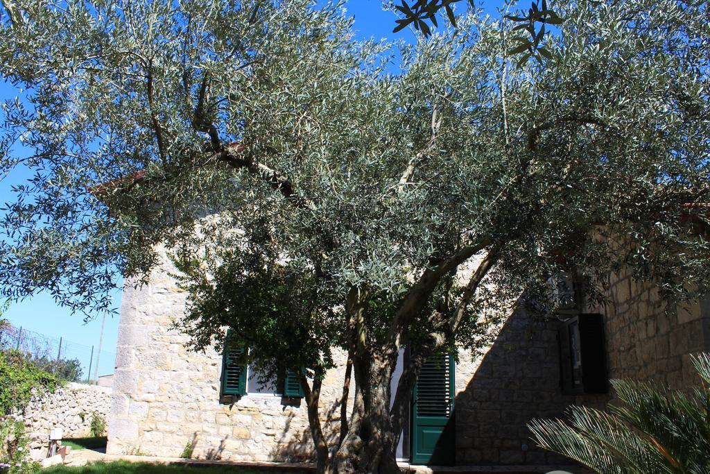 Appartamento Le Tre Palme Frigintini Exterior foto